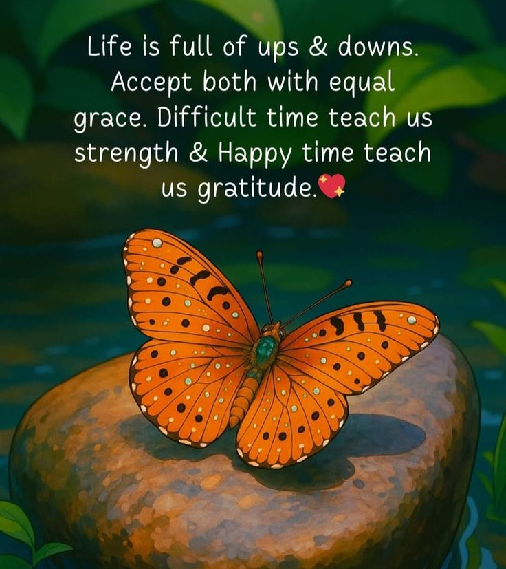 Lessons Learned Quotes & Sayings for Everyday Life 2025