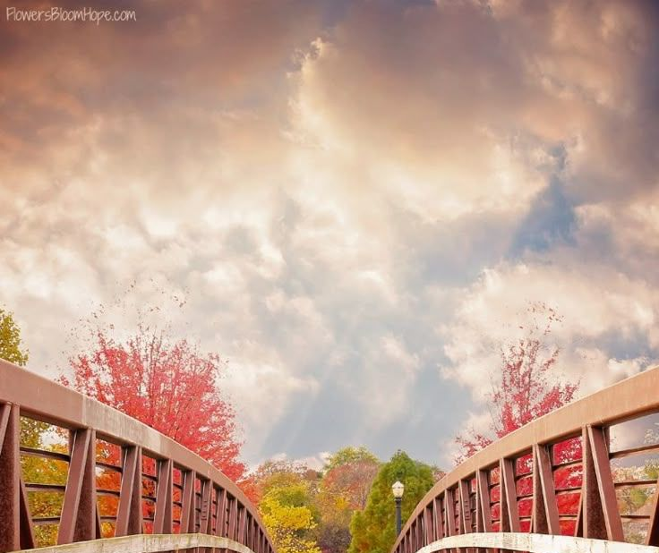 25 Powerful Inspiring Burn Bridges Quotes That Change Your Thinking