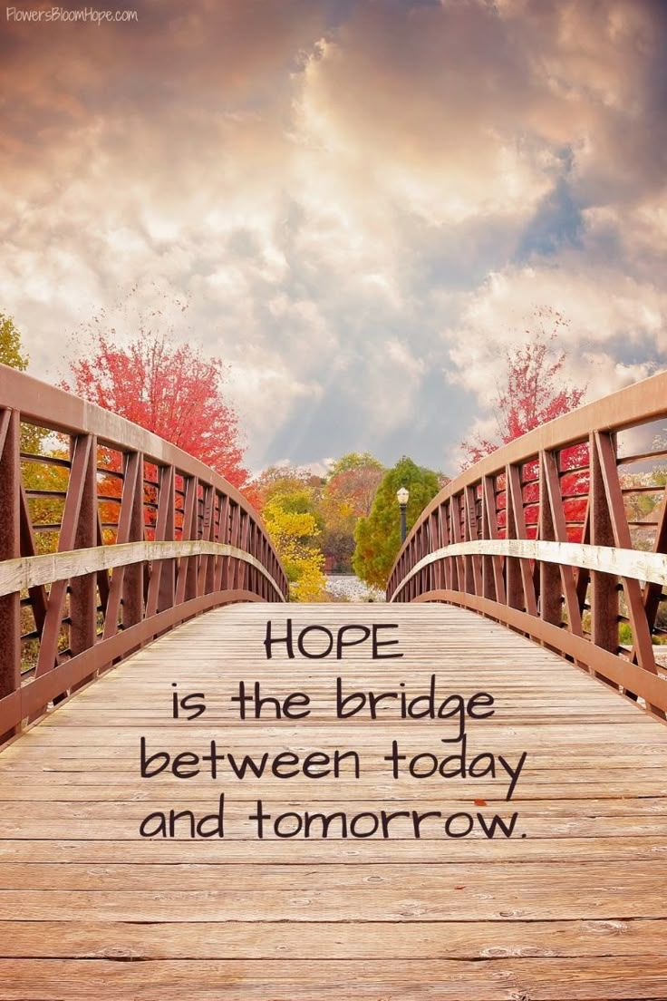 Wise Burn Bridges Quotes That Make You Think 2025